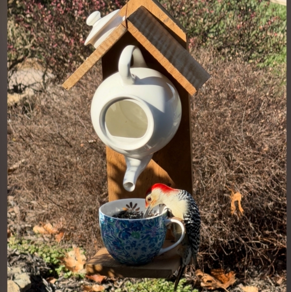 Rustic Wooden Handmade Bird Feeder Penguin With The Birds - Picture 15 of 15